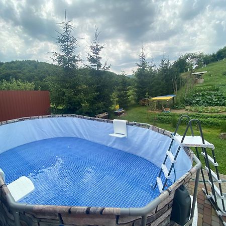 Садиба У Дохтора Відпочинок У Карпатах Golubinoye Exterior foto