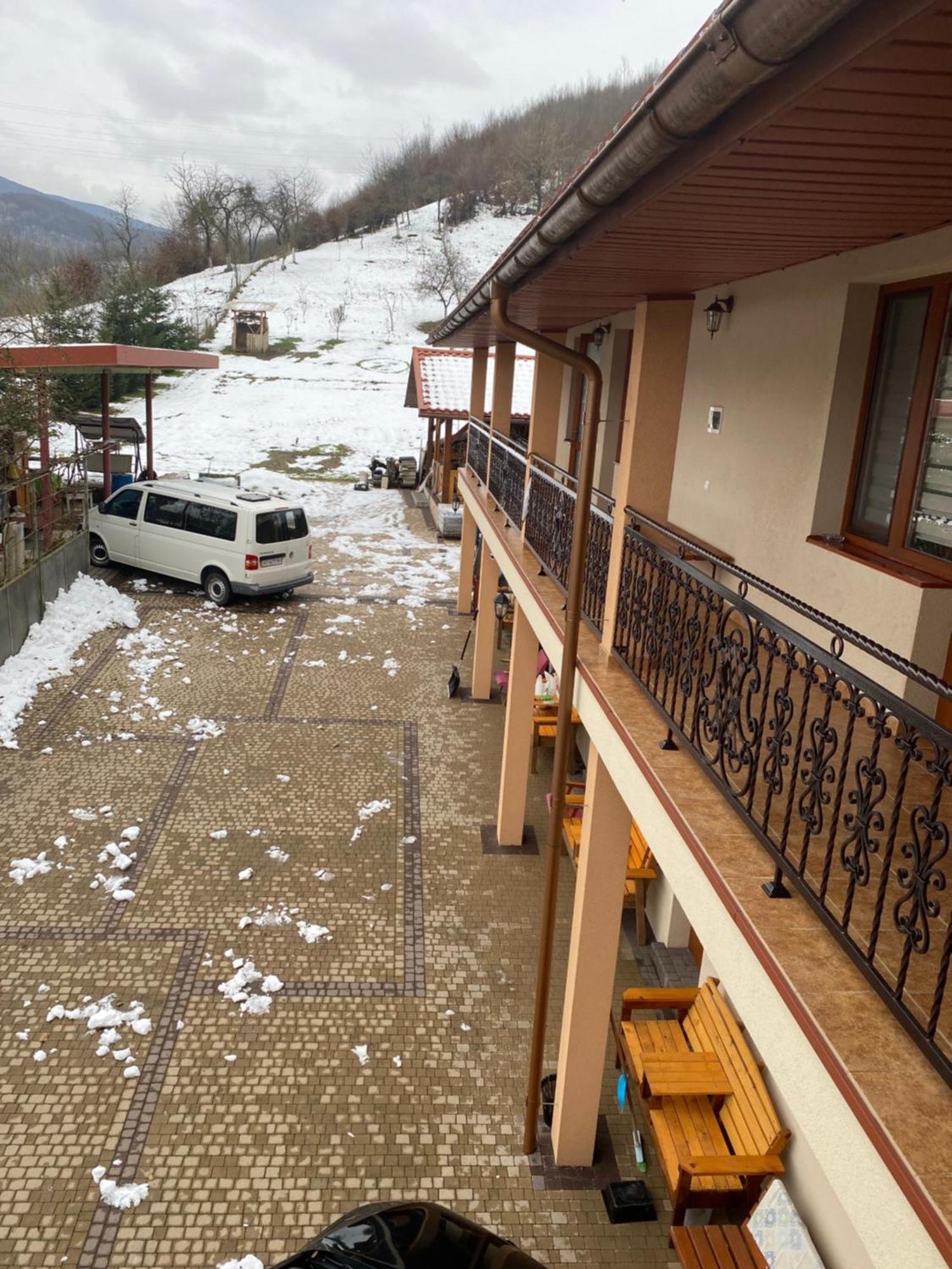Садиба У Дохтора Відпочинок У Карпатах Golubinoye Exterior foto
